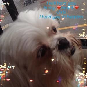 Meet your Posher, Michele